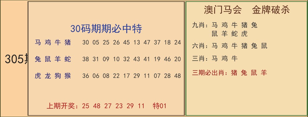 30码资料