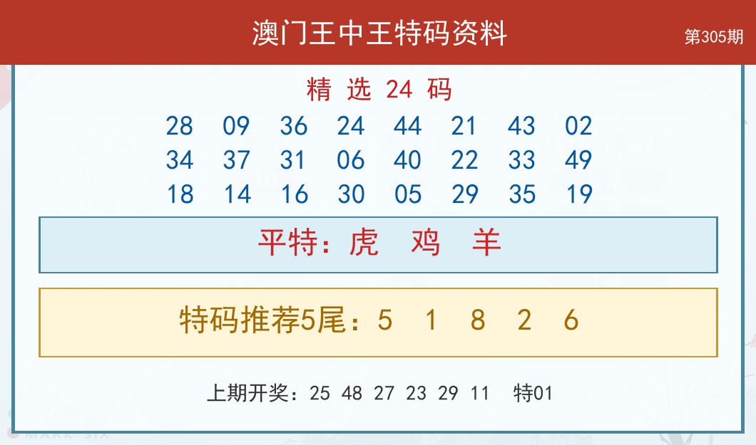 王中王特码资料